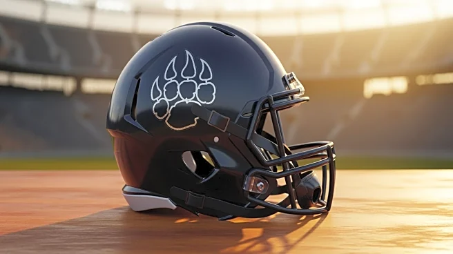 Chicago Bears' Victory Over Eagles Highlights Season's Success