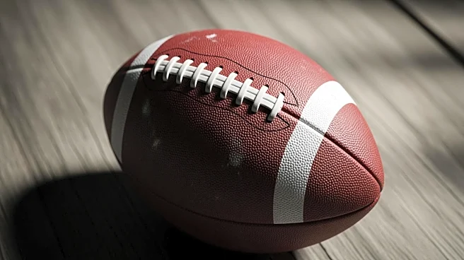 Chicago Bears Lead NFC After Week 13, Highlighting Unpredictable NFL Season