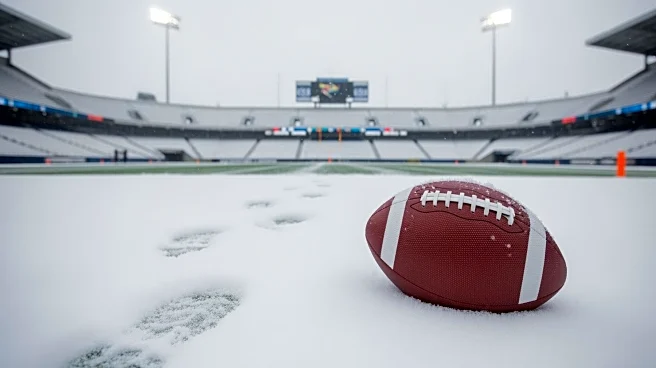 Bills' Ty Johnson Slips in Snow, Misses Touchdown Opportunity Against Bengals