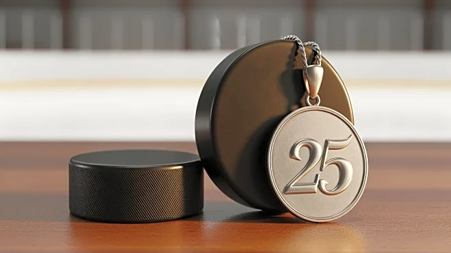 Minnesota Wild Plans 25th Anniversary Celebration with Former Players