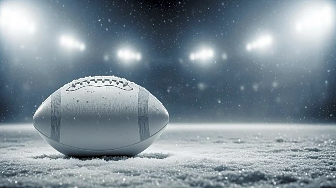 Buffalo Bills Defeat Cincinnati Bengals in Snowy NFL Showdown