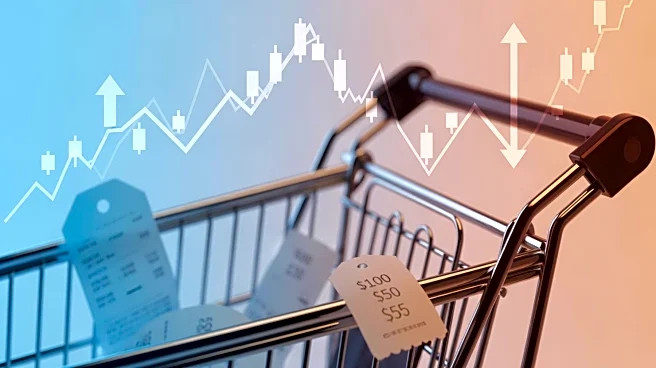 Economic Warning Signs Emerge Amid Record Holiday Shopping in 2025