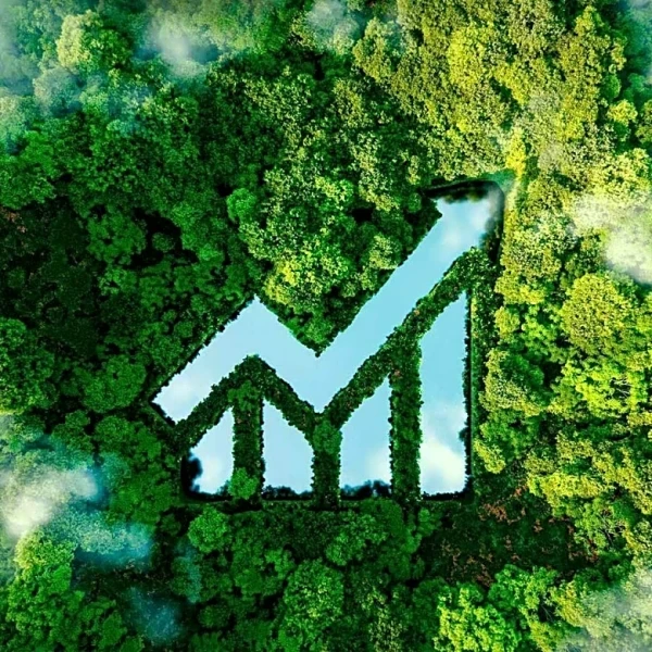 Virtuoso Highlights Sustainability Trends in Australian Travel for 2026