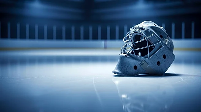 Wild's Jesper Wallstedt Struggles in Loss to Canucks, Ending Winning Streak