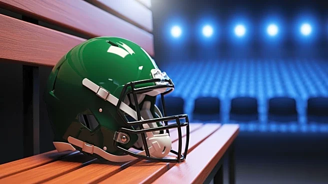 NFL Week 14: Packers Secure NFC North Lead with Victory Over Bears