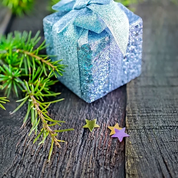 Grieving Mother Receives Heartfelt Christmas Gift from Husband