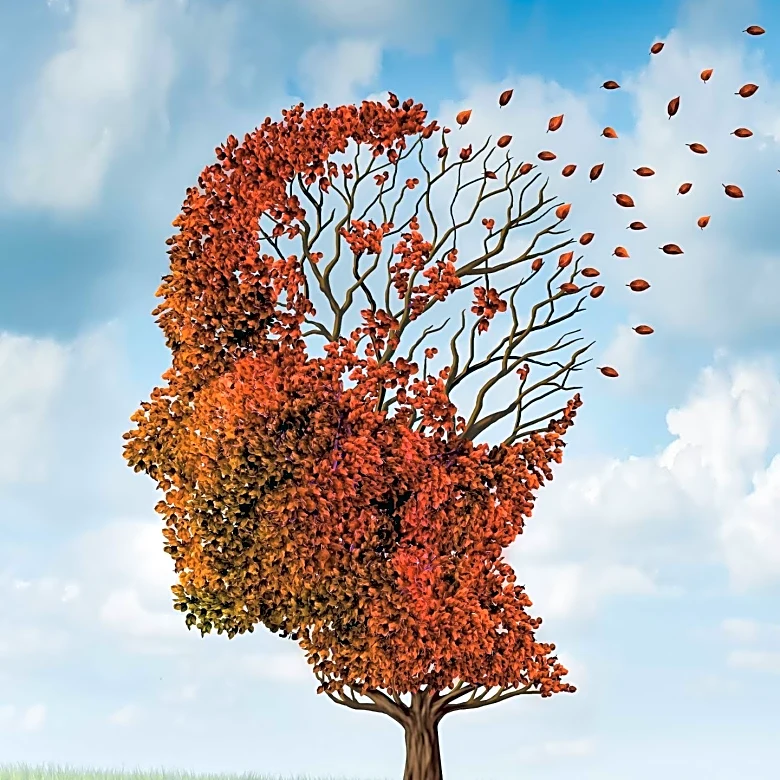 Study Reveals Multivitamins May Slow Cognitive Aging in Older Adults