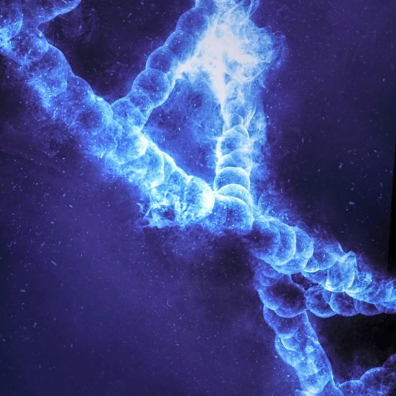 Autophagy: Fasting's Role in Cellular Health and Disease Prevention