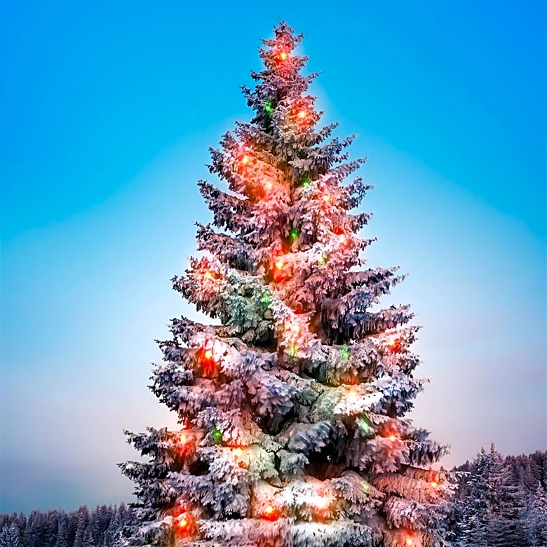 Columbia County Hosts Annual Tree Lighting Event with Festive Activities