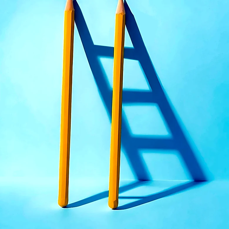 The Great Milestone Pileup: Navigating Established Adulthood's Challenges