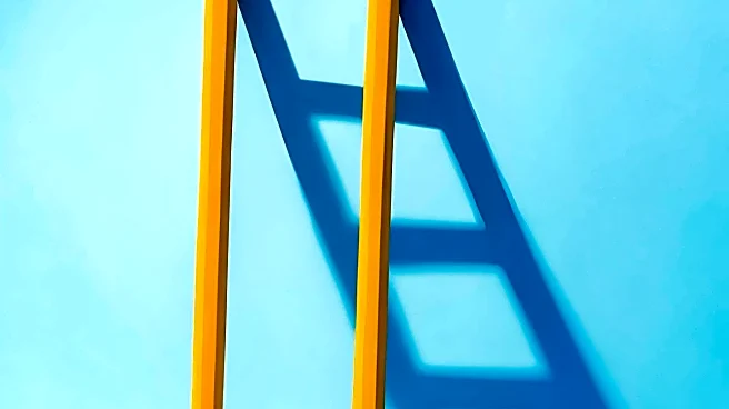 The Great Milestone Pileup: Navigating Established Adulthood's Challenges