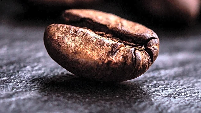 Research Suggests Coffee May Slow Down Biological Ageing Through Antioxidant Properties