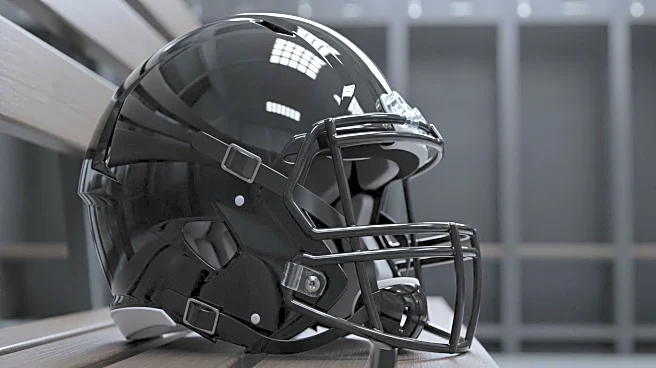 Ravens' Coach John Harbaugh Criticizes NFL Catch Rule After Loss to Steelers