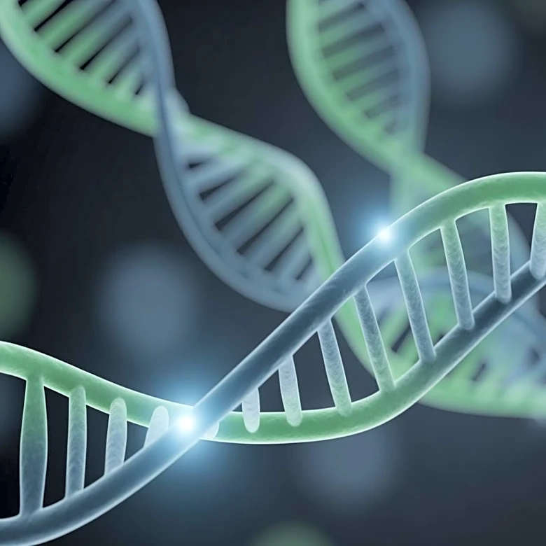 Oligonucleotide  Peptides Xchange 2026 to Foster Collaboration in Therapeutics