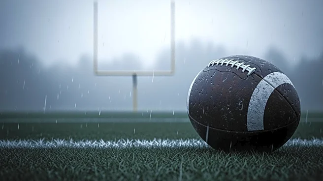 Chicago Bears' Playoff Hopes Dim After Loss to Green Bay Packers