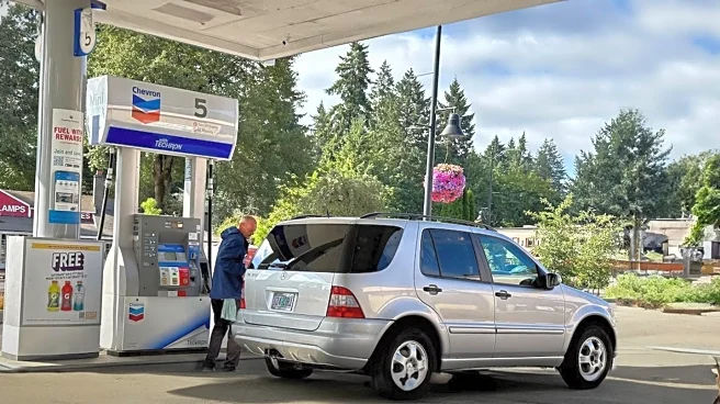 Man Rescues Shivering Kitten at Gas Station, Sparks Viral Heartwarming Story