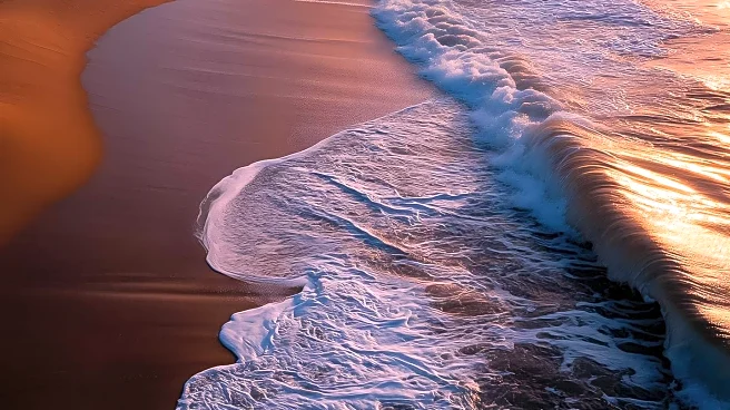 The Sitio Opens Reservations for Virginia Beach's Newest Coastal Escape