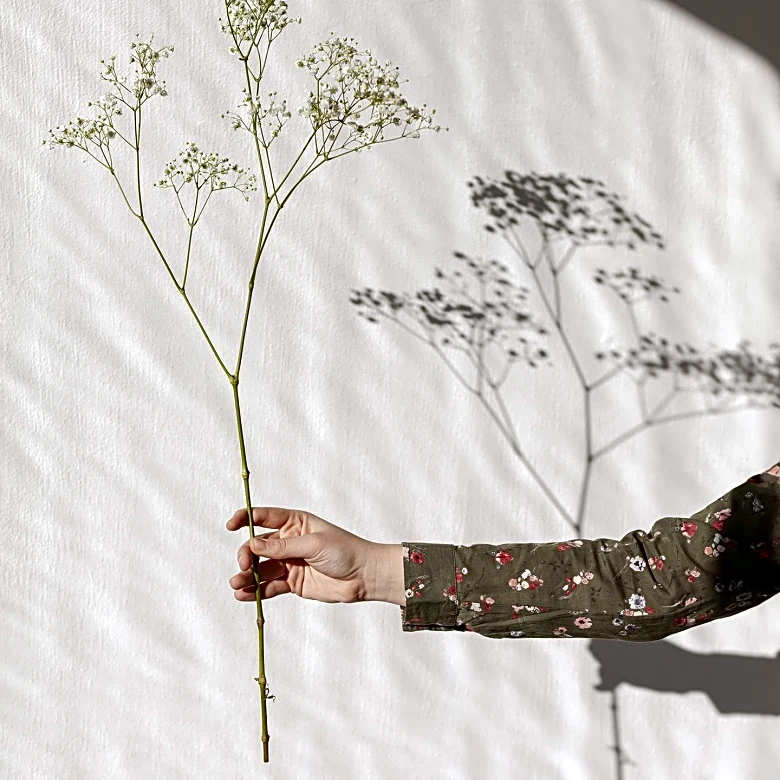 Israeli Design Day Showcases Local Creativity and Sustainability Efforts