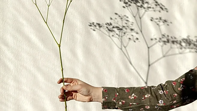 Israeli Design Day Showcases Local Creativity and Sustainability Efforts