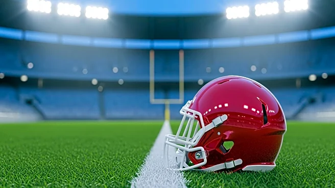 NFC South Dynamics Shift with Mike Evans' Return to Tampa Bay Buccaneers