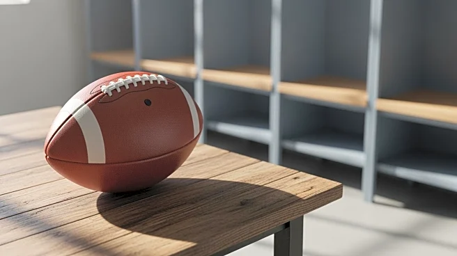 Former LSU Quarterback Max Johnson to Enter Transfer Portal for Third Time