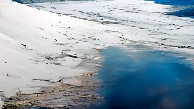 Embrace Winter: Exploring Nature's Quiet Gift of Snow