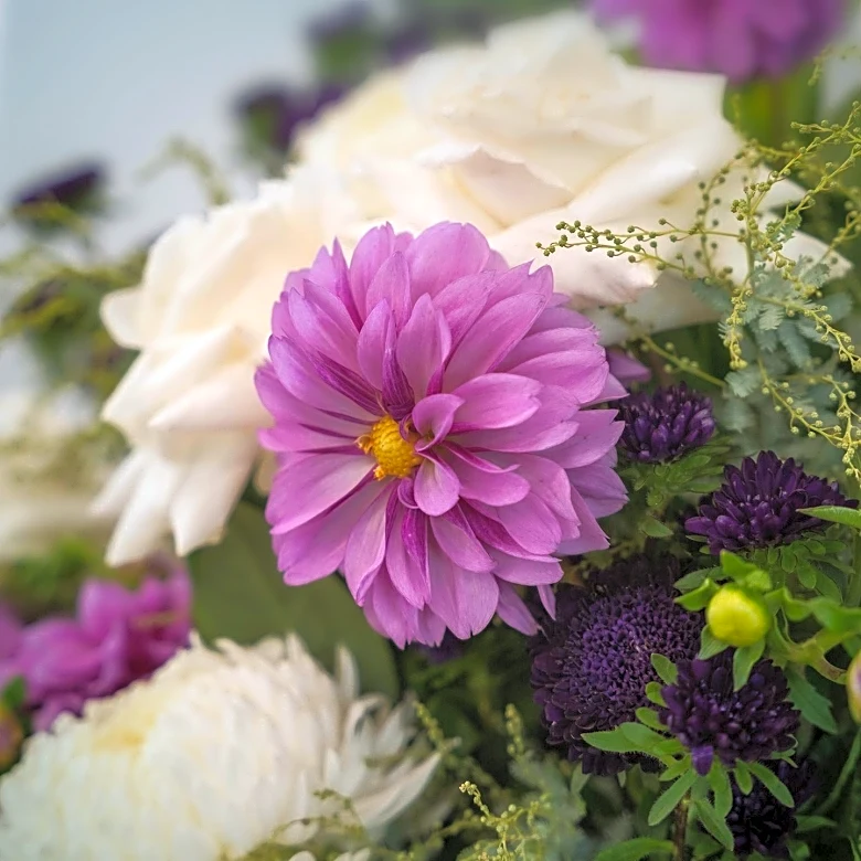 Maxine Lanham's Life Celebrated in Upcoming Memorial Service