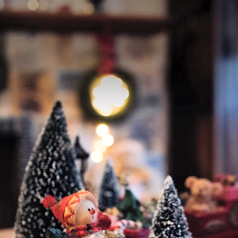 Bachman's Offers Last-Minute Holiday Gift Ideas Beyond Flowers