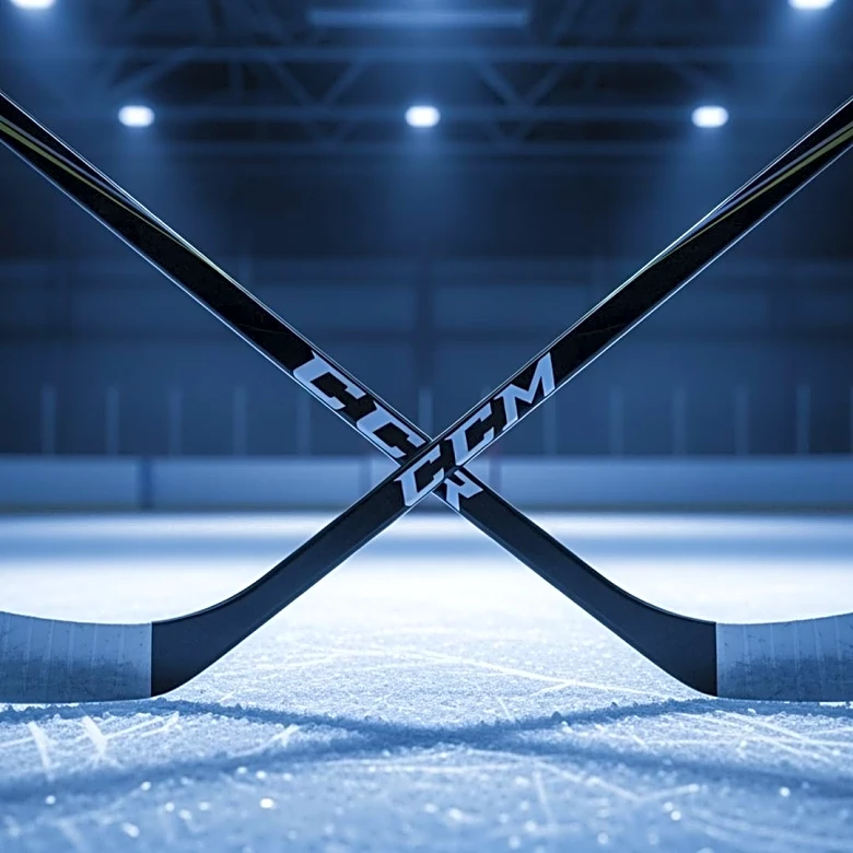 Minnesota Wild Recalls Nicolas Aubé-Kubel and Matt Kiersted Amid Injuries