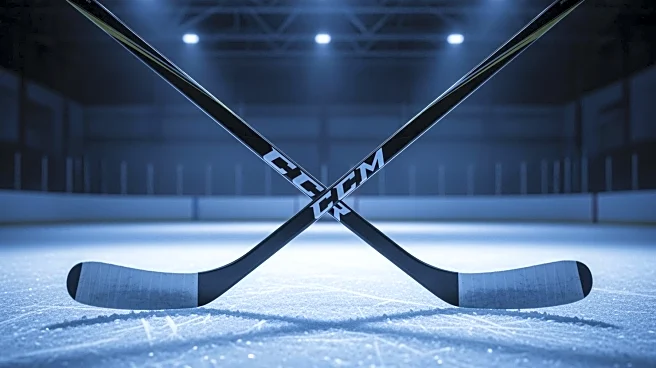 Minnesota Wild Recalls Nicolas Aubé-Kubel and Matt Kiersted Amid Injuries