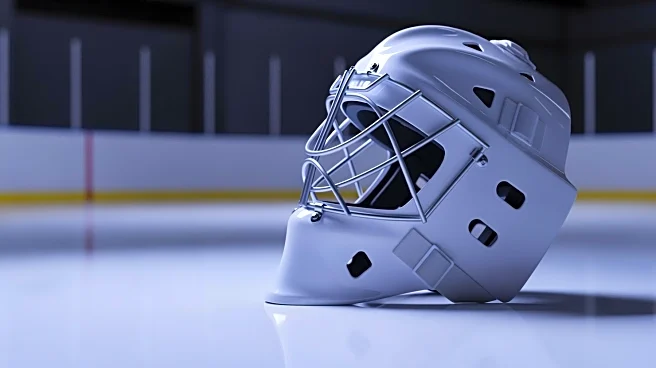 Anaheim Ducks Activate Goaltender Lukas Dostal from Injured Reserve