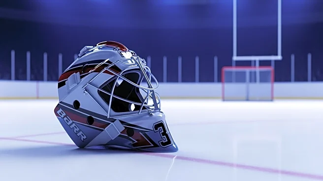 Anaheim Ducks Activate Lukas Dostal, Impacting Goaltender Lineup