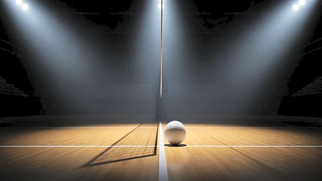 Kentucky Volleyball Faces Creighton in Elite Eight with Final Four Berth at Stake