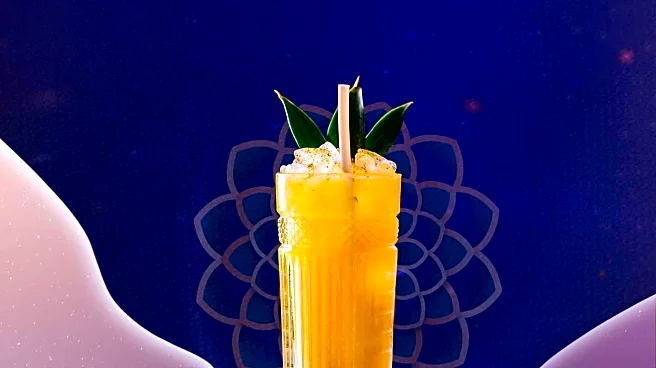 Analysis of Magic Lantern Glass Slides Reveals Historical Glassmaking Techniques in Portugal