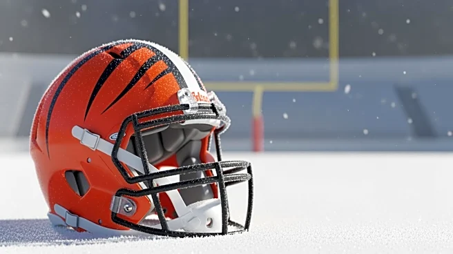 Cincinnati Bengals Face Potential NFL Punishment for Snow Removal Violation at Paycor Stadium