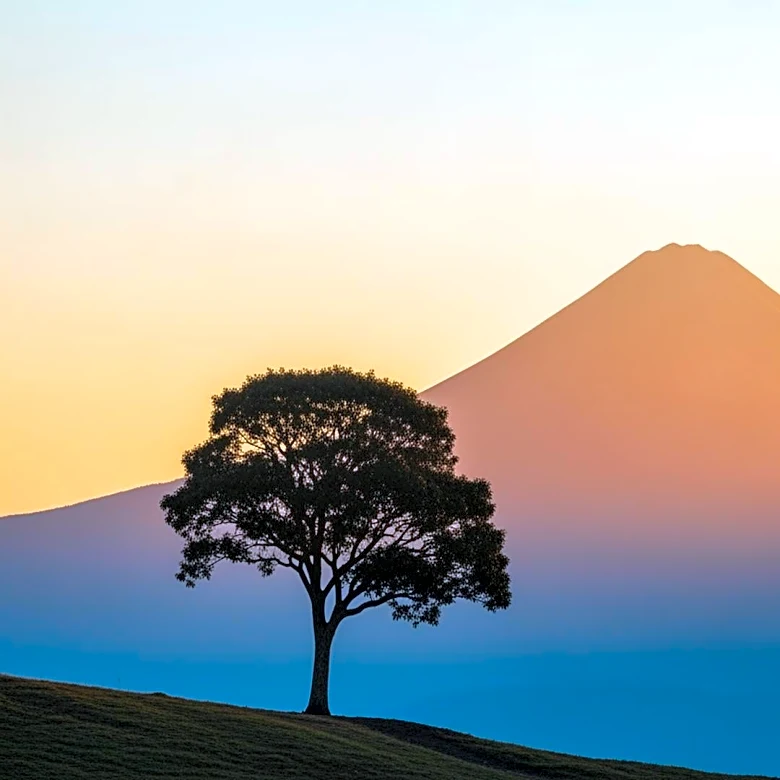 Lauren Sanchez Shares Inspirational Message Amid Legal Dispute with Brother