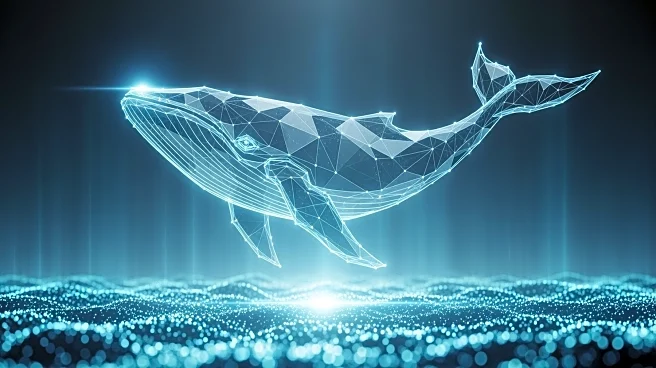 Whale.io Launches $WHALE NFT Collection on Solana, Enhancing Liquidity and Community Engagement