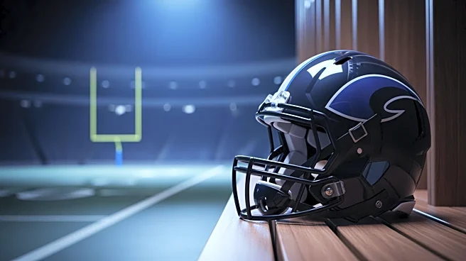 Carolina Panthers' Playoff Hopes Hinge on NFC South Performance