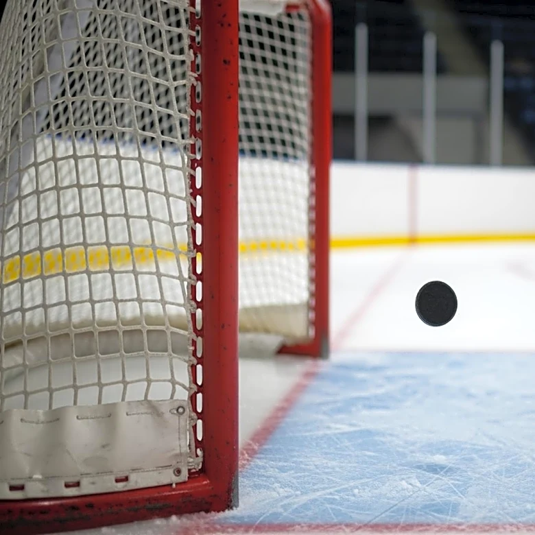 Justin Brazeau's Tip-In Goal Secures Tie for Team in NHL Game