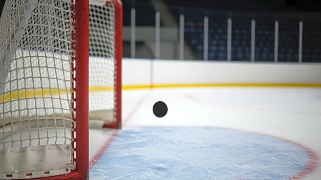 Justin Brazeau's Tip-In Goal Secures Tie for Team in NHL Game