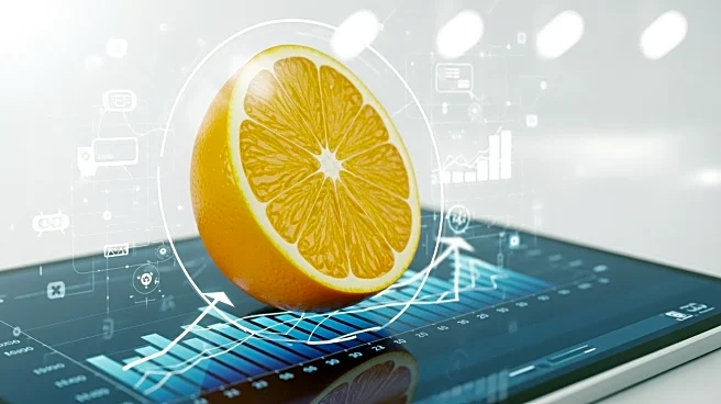 Citrus Connect Achieves Record Growth Through £100k Digital Investment