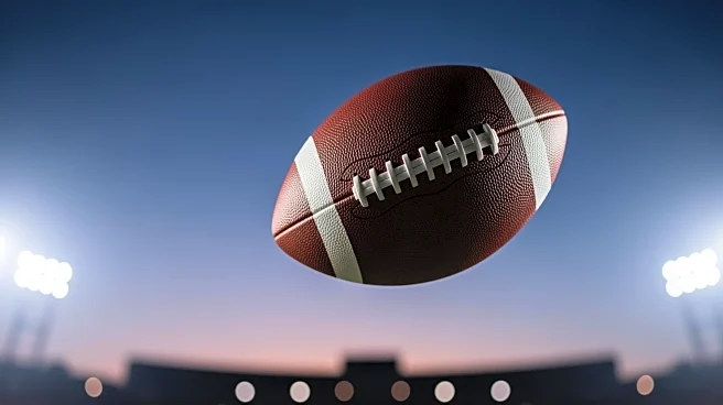 Saints' Late-Game Heroics Secure Win Over Panthers, Impact NFC South Standings