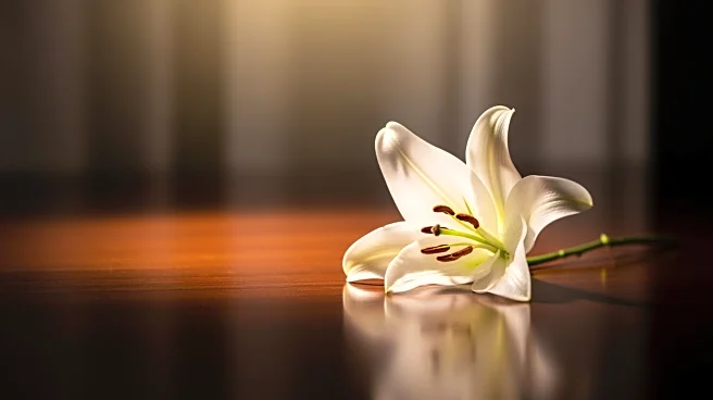 Actress Rachael Carpani Passes Away Unexpectedly at 45, Leaving Fans Mourning