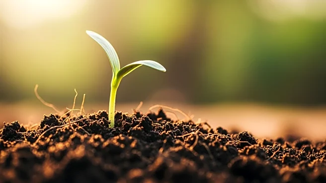 BASF Plans to Spin Off Agricultural Solutions into Independent Company by 2027