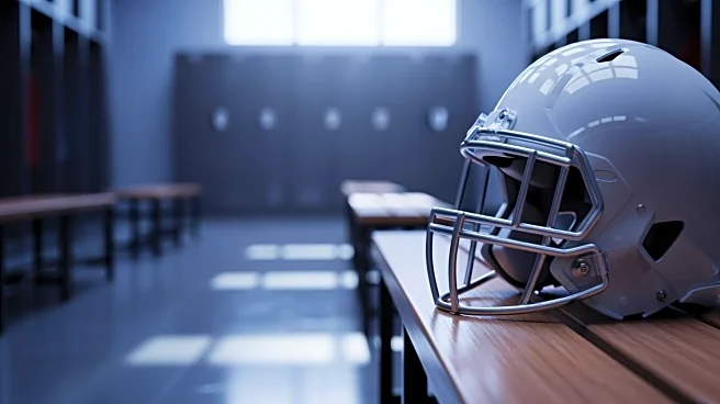 Miami Dolphins' Malik Washington Sees Limited Action Against Steelers