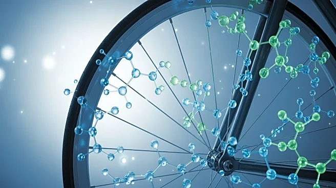 Bicycle Therapeutics Forms Strategic Partnerships to Enhance Radiopharmaceutical Supply Chain