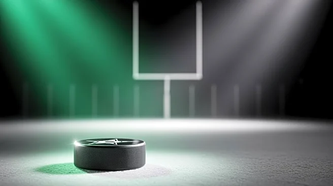 Dallas Stars Defeat Los Angeles Kings, Extending Kings' Scoring Slump