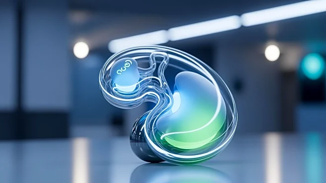 Nephrodite's Holly System Receives FDA Breakthrough Device Designation for Kidney Replacement