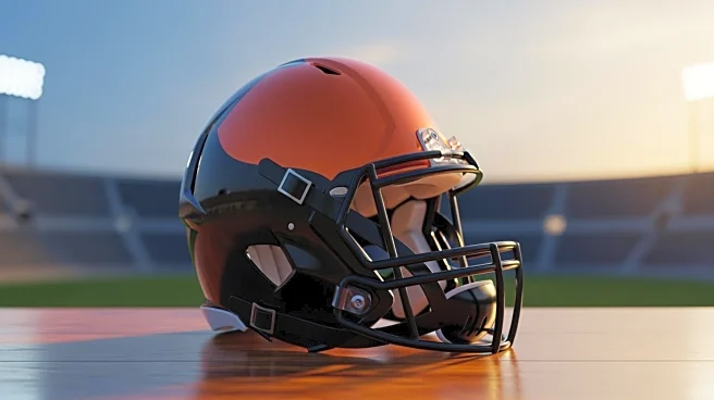 Cincinnati Bengals Acquire Rookie WR Ke'Shawn Williams from Steelers