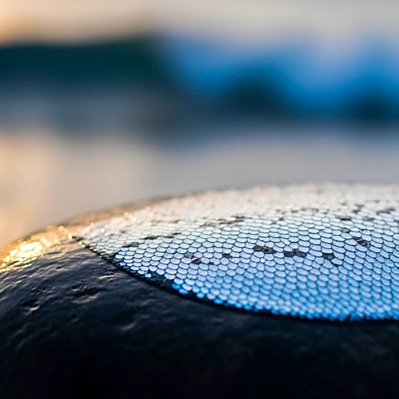 Nissui Acquires Chilean Salmon Business Pesquera Yadran to Strengthen Marine Portfolio